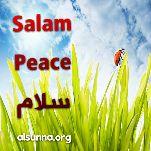Salam Peace سلام