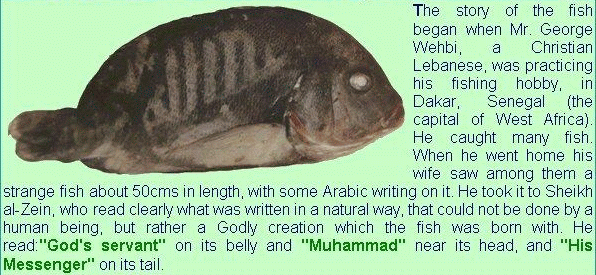 name of allah on fish