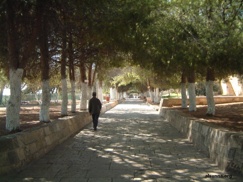 Aqsa Pathway Entrance مدخل الأقصى
