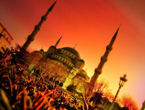 Beautiful mosques alsunna.org (5)