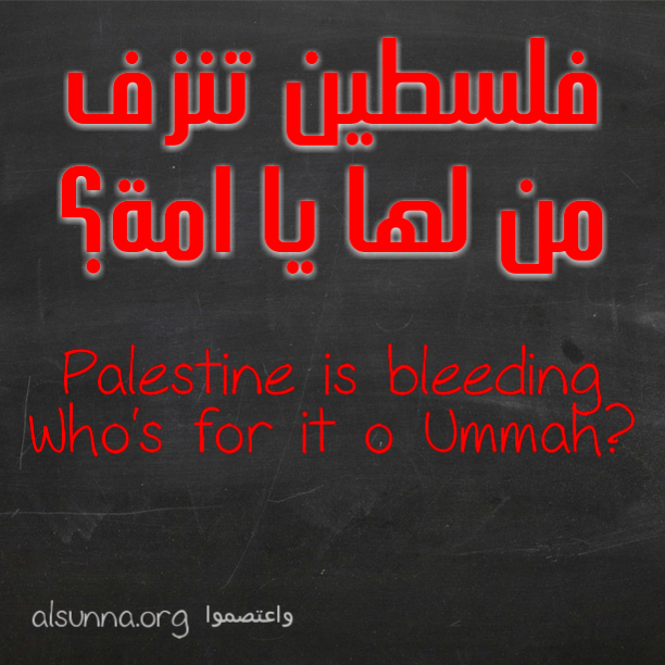Palestine is Bleeding! فلسطين تنزف