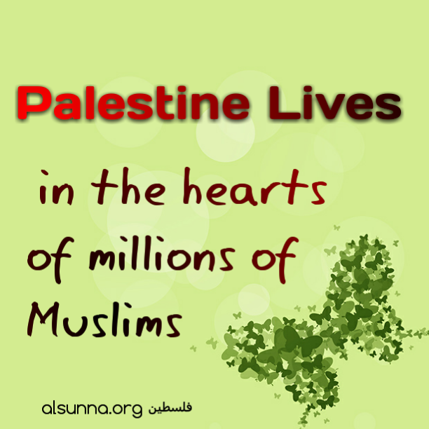 Palestinian Quotes PLO فلسطين