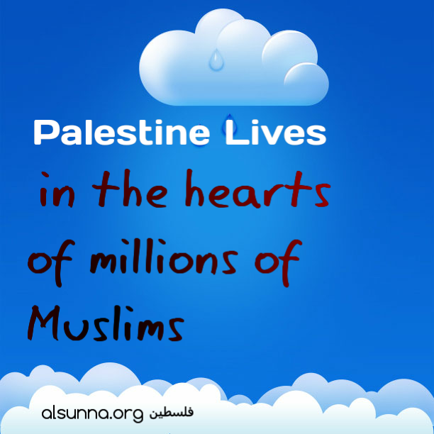 Palestine Lives فلسطين تعيش