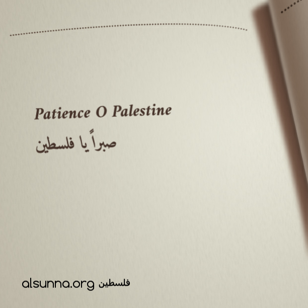 Dear Palestine, Patience. صبراً يا فلسطين