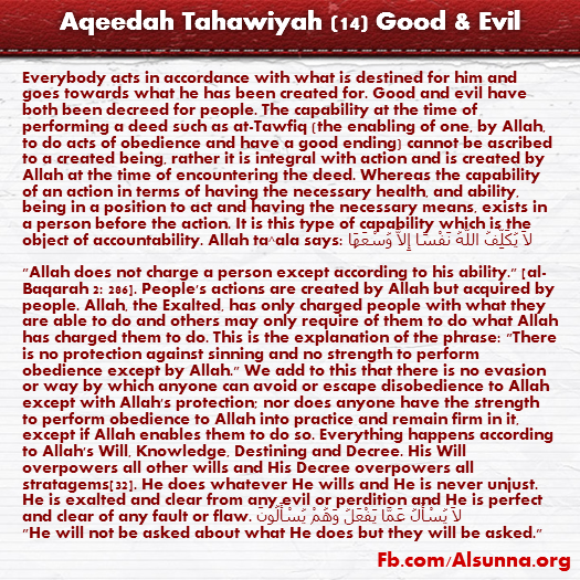 Aqeedah Tahawiyah English (14)