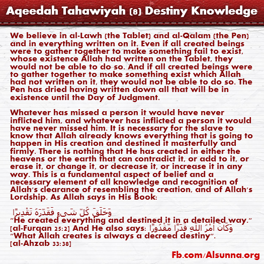 Aqeedah Tahawiyah English (8)