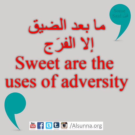 Proverbs Maxims Aqwal Quotes (23)