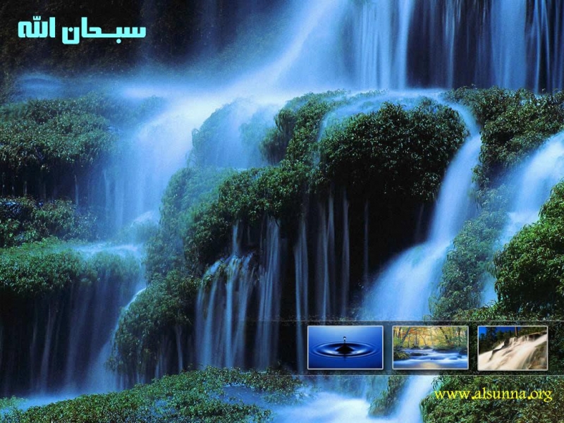Natural Islamic Wallpaper