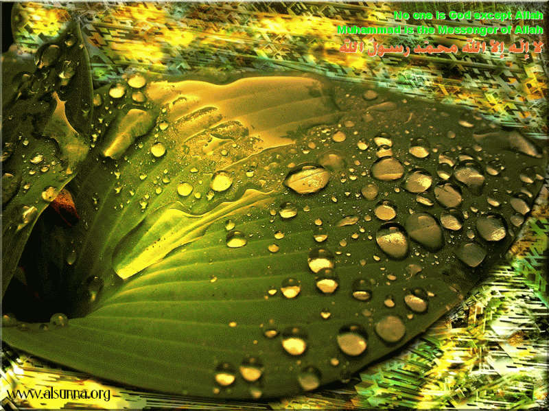 Shahadah - Water Drops