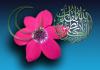 Islamic Pictures (50)