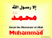 alsunna org love muhammad3