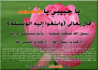 alsunna org love muhammad tawassul bilhabib