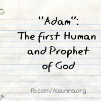 Prophet Adam is..