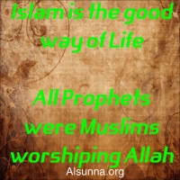 Islam Quotes Sayings (100)