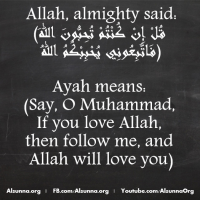 Meaning of an Ayah