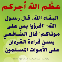 Islamic Aqeedah Sayings (71)
