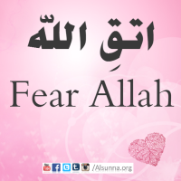 Islamic Pictures and Quotes (25)