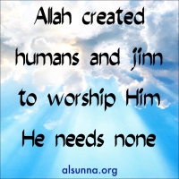 We are Created to Worship Allah