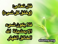 Islamic Quotes and Sayings (131)