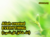 Islamic Quotes and Sayings (24)