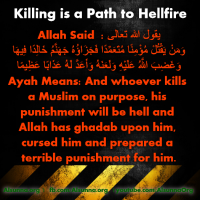 What does Islam say about Suicide Bombing and Killing?