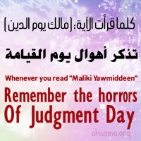 Quote - Maliki Yamiddeen - Judgment day
