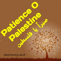 Dear Palestine, Patience. صبراً يا فلسطين