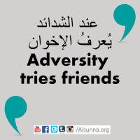 Engilsh Proverbs Arabic Quotes (13)