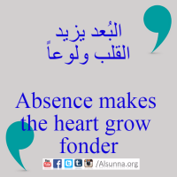 Engilsh Proverbs Arabic Quotes (17)