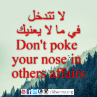 English Provers Arabic Quotes (16)
