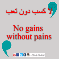 English Provers Arabic Quotes (81)