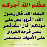 islamic aqeedah sayings  71