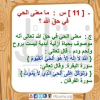 Islamic QA Obligatory Knowledge (8)