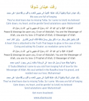 Raqat aynay translation lyrics رقت عيناي شوقا